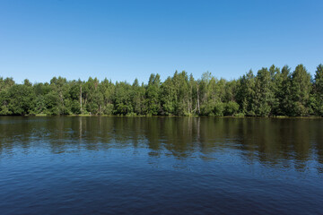 River. Forest on the opposite bank of the river.