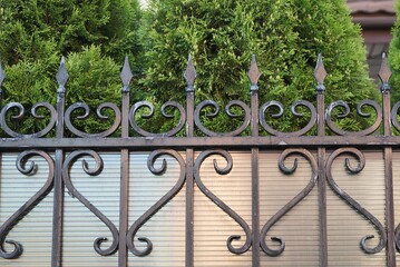 part of the wall of a fence made of sharp black iron rods in a forged pattern on the street in green vegetation