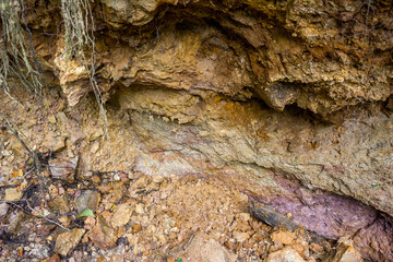 Clay outcropping in a ravine, sedimentary rocks
