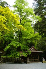 貴船神社・奥の宮