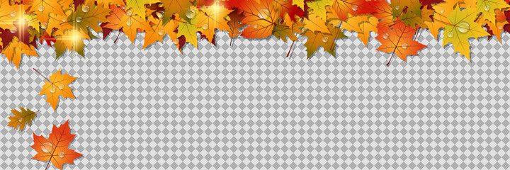 Autumn style vector banner template. Transparent background with colorful tree leaves