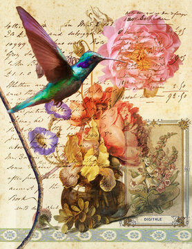 AA digital illustration collage of a hummingbird, peonies, and other flowers with an old written letter. 