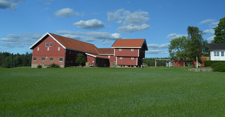 Obraz premium Railway travel in Norway.Views from the train.