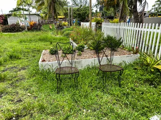Zelfklevend Fotobehang Messy backyard that needs landscape fixing. Lawn needs to be mown © Blue