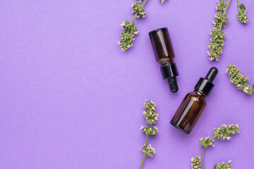 Two vials of medicinal solution and medicinal herbs on a purple background. Flat lay.