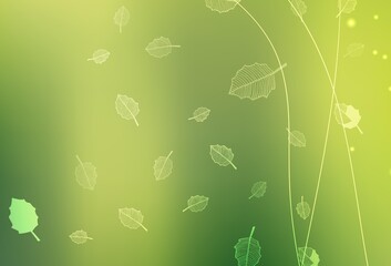 Light Green, Yellow vector elegant wallpaper with trees, branches.