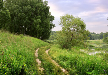 The road near the forest lake