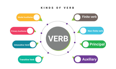 Vector infographic template for diagram, graph, presentation, chart, education concept with 8 options.