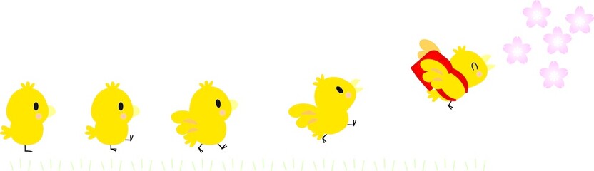 ひよこたちの成長と入学