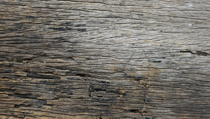 The texture of the old wood with a beautiful pattern.