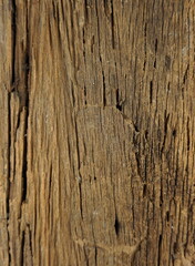 The texture of the old wood with a beautiful pattern.