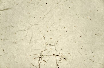 Texture of Korean crafts paper