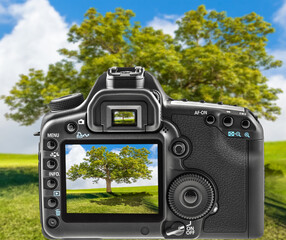 Arbre sur appareil photo 