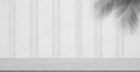 Empty gray studio room cement wall with leaves shadow and rough surface display background. mockup concrete structure interior perspective floor backdrop. free space table material texture indoor.