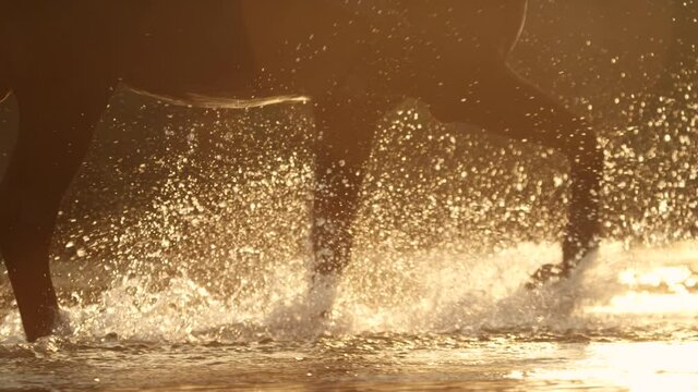 SLOW MOTION, CLOSE UP: Unknown horse kicks up and splashes glassy water while crossing a stream at golden sunset. Cinematic shot of a horse's legs as it treads a river on a sunny summer evening.