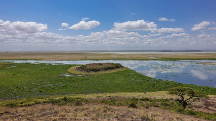 African landscape. The lake reflects the blue sky and clouds. Nearby is a swamp with green plants. Dry grass and a lonely tree on the shore. Kenya. Amboseli park