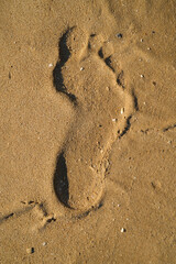 Fototapeta na wymiar foot print in the sand