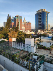A sunlit view of rooftops and buildings in downtown Bangalore, India on a clear sunny day