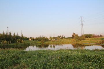 Calm On The Land, Pylypow Wetlands, Edmonton, Alberta