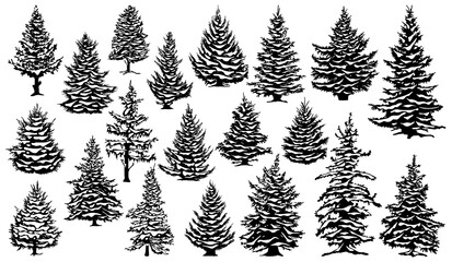 Christmas snowy pine trees. Xmas snow covered pine trees silhouettes, evergreen coniferous woods vector illustration set. Christmas trees silhouettes - obrazy, fototapety, plakaty
