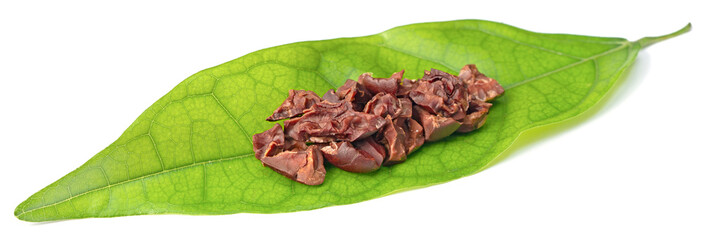 cocoa nibs on the fresh cocoa leaf, isolated on white background, top view