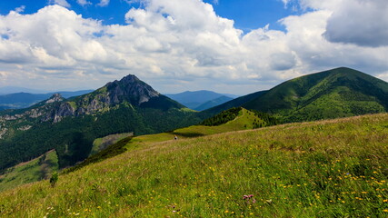 Obraz premium Green mountain ridge in nice weather, with blue sky and white clouds. Mala Fatra.