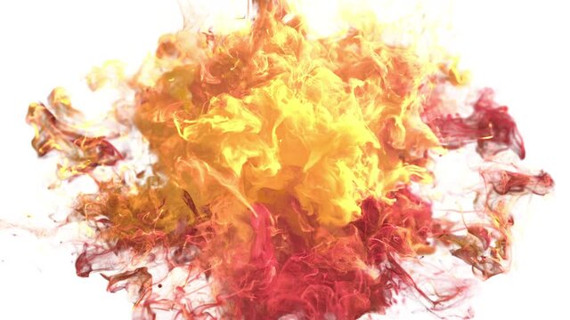 Color burst - colorful yellow, red, orange smoke powder circle particle explosion. Pulsating shockwave particles in slow motion. Fluid ink alpha matte isolated on white 4k