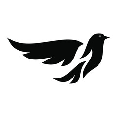 bird logo design vector  design template
