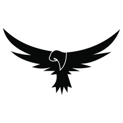 bird logo design vector  design template