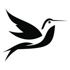 bird logo design vector  design template