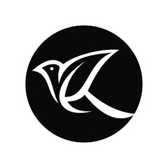 bird logo design vector  design template