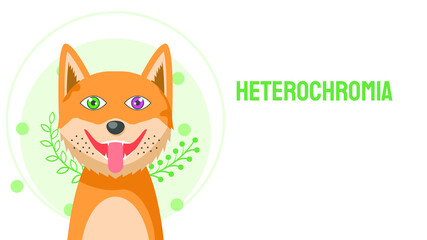 Flat Animal Dog Pet Smiling With Tongue Out With Different Colors Eyes Disease Heterochromia Concept Green Plants