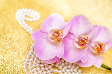 purple Orchid and pearl necklace on a shiny gold background
