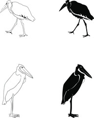 Marabou hand drawn set in line art style and silhouette 