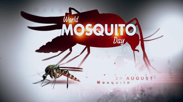  World Mosquito Day 20 August 