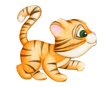 Tiger, cub. Watercolor, animal, symbol of the year in a cartoon style.
