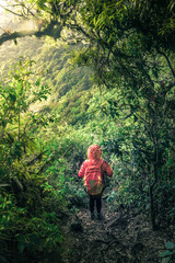 Obraz premium vertical shot of a young hiker walking along a path with a beautiful landscape on a cloudy morning in the green hills of Escazu covered with bushes and trees