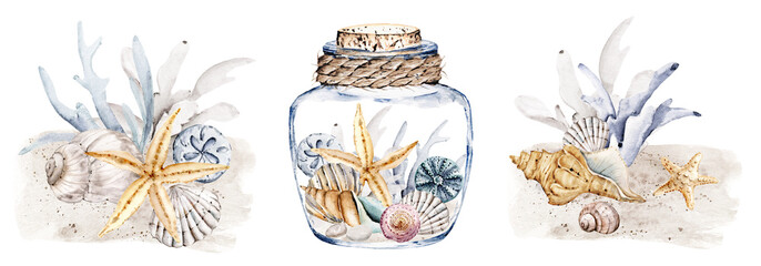 Shells in glass vase, watercolor set, beach scenery. Starfish, algae, corals and seashells in tropical illustration. Isolated on white background. Hand drawing. © Larisa