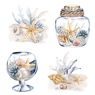 Shells in glass vase, set beach scenery. Watercolor starfish and other shells in tropical illustration. Isolated on white background. Hand drawing.