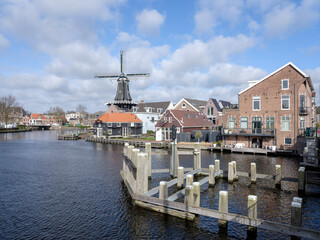 Fototapeta premium Haarlem, Noord-Holland Province, The Netherlands