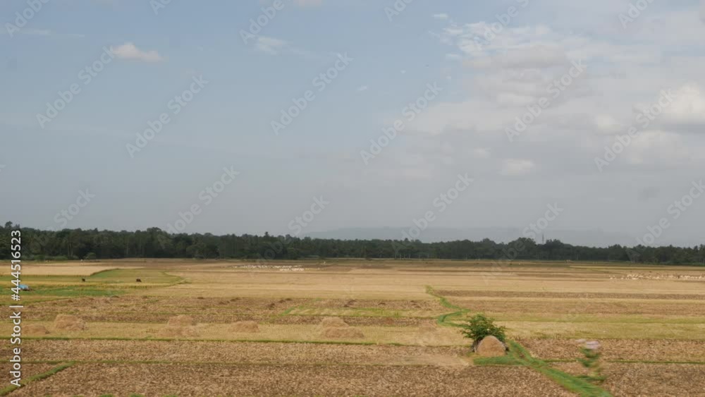 Sticker Shot of empty agricultural land with trees behind