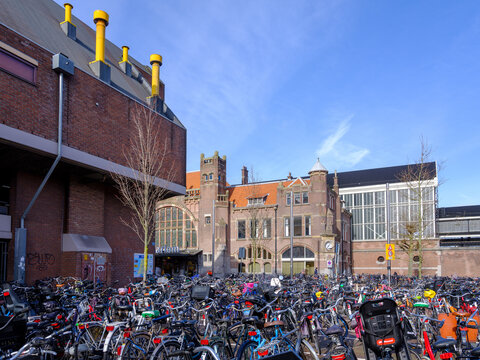 Haarlem, Noord-Holland Province, The Netherlands