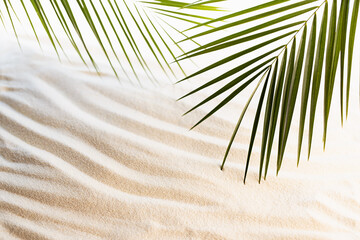 Summer tropical beach with white sand and palm leaves in sunlight with shadow, copy space.