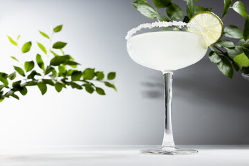 Cold fresh bright sour muddy alcohol cocktail with salt rim decorated slice lime in elegant glass goblet in sunlight with green leaves in sunny modern minimal white bar interior or outdoor.