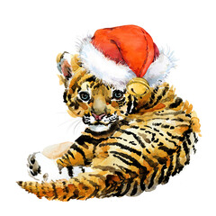Cute tiger watercolor illustration. Year of the Tiger card. © Елена Фаенкова
