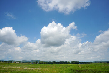 Fototapeta na wymiar Cumulus Clouds above the fields on a clear day. Clouds with Vertical Development.