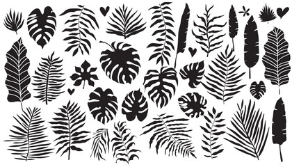 Tropical Leaves set 1 © mistletoe