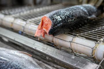 Headless and gutted salmon and trout carcasses lie on a conveyor belt.