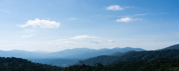 Panorama view of forest and mountain landscape