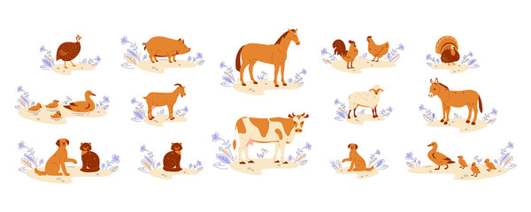 Farm animals set. Horse cow goat duck with ducklings chicken with rooster donkey guinea fowl turkey pig sheep cat dog. Vector illustration in flat cartoon style.